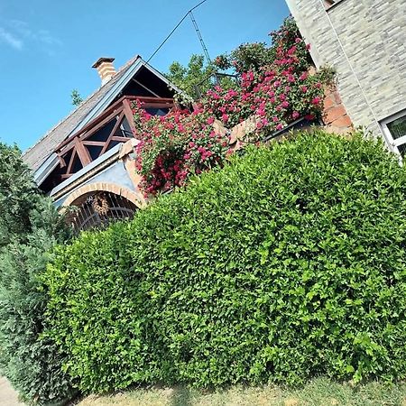 Apartman Vrdnicak Vrdnik Bagian luar foto