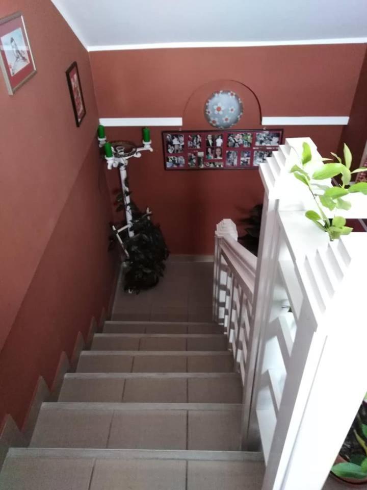 Apartman Vrdnicak Vrdnik Bagian luar foto